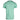 Back view of a mint green t-shirt.