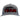 Gray baseball cap with red 'TEAM' text and a graphic design