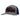 Gray and blue snapback cap with 'TEAM' embroidered on the front