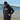 Mens Jackets