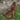 Skeeter Dog Leash