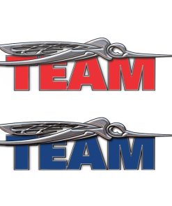 team domed decal